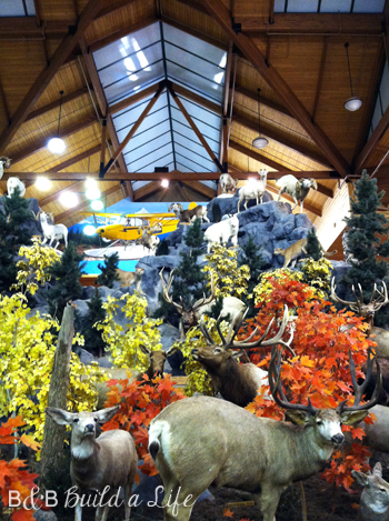 Cabela's Animals @ BandBBuildALife.com