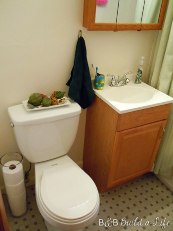 bathroom tp vase @ bandbbuildalife.com