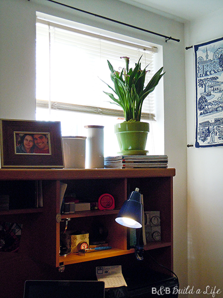 Spring Flowers @ BandBBuildALife.com