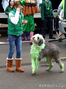 st Paddy's day parade @ BandBBuildALife.com