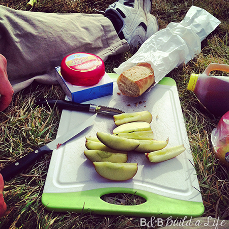 picnic lunch in schenley park @ BandBBuildALife.com