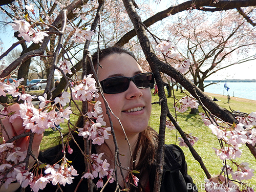 dc cherry blossoms @ BandBBuildALife.com