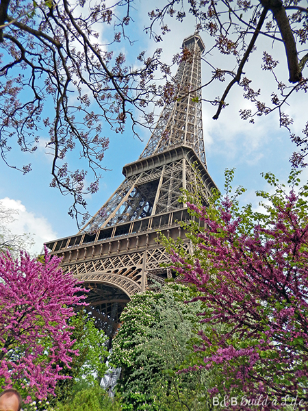 springtime flowers in paris @ BandBBuildALife.com
