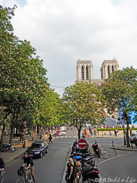 springtime flowers in paris @ BandBBuildALife.com