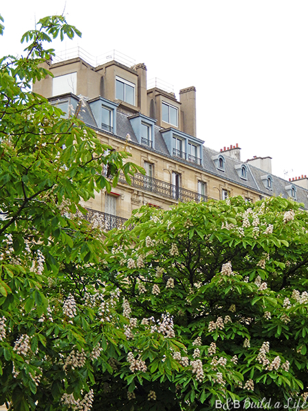 springtime flowers in paris @ BandBBuildALife.com