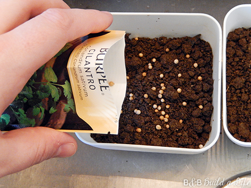 apartment sized herb garden @ BandBBuildALife.com