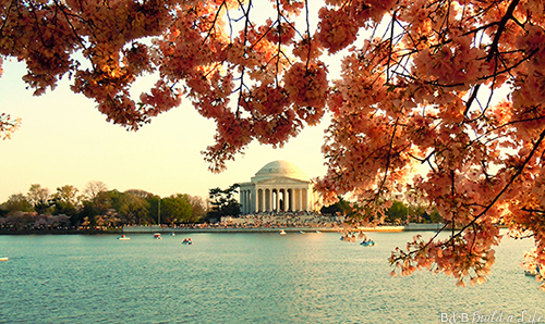 Passport to Our National Parks Washington DC @ BandBBuildALife.com